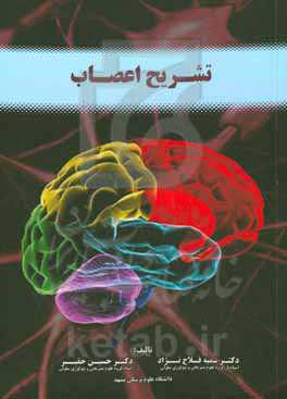 تشریح اعصاب