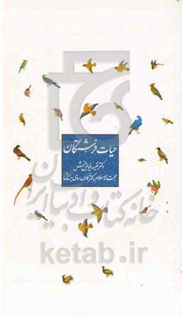 حیات فرشتگان