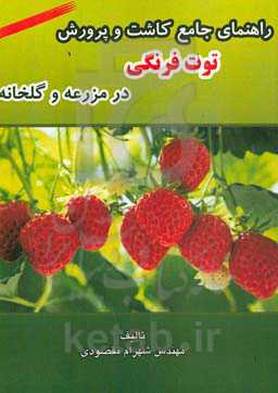 راهنمای جامع کاشت و پرورش توت فرنگی در مزرعه و گلخانه