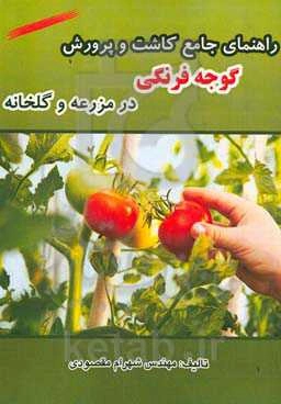 راهنمای جامع کاشت و پرورش گوجه فرنگی در مزرعه و گلخانه