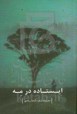 ایستاده در مه