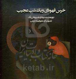 خرس قهوه‌ای و یک شب عجیب