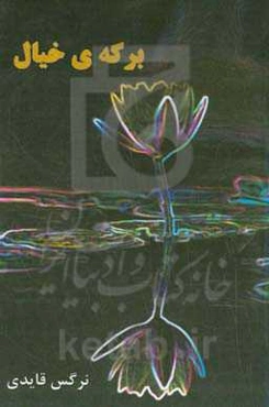 برکه‌ی خیال