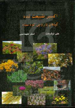 اکسیر طبیعت لنده: گیاهان دارویی کوه سیاه