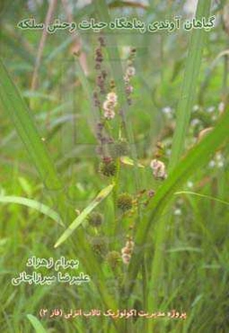 گیاهان آوندی پناهگاه حیات‌وحش سلکه