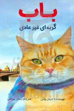 باب، گربه‌ای غیرعادی