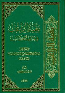 بغیه الراغب فی مبانی المکاسب - ج 2