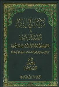 منیه الطالبین فی تفسیر القرآن-ج11