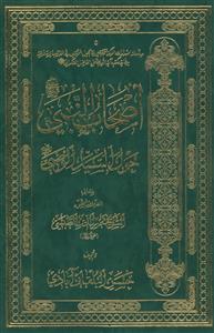 اصحاب النبی حول سید الوصی