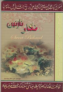 نگار نازنین