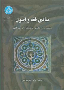 مبادی فقه و اصول - مشتمل بر بخشی از مسائل آن دو علم