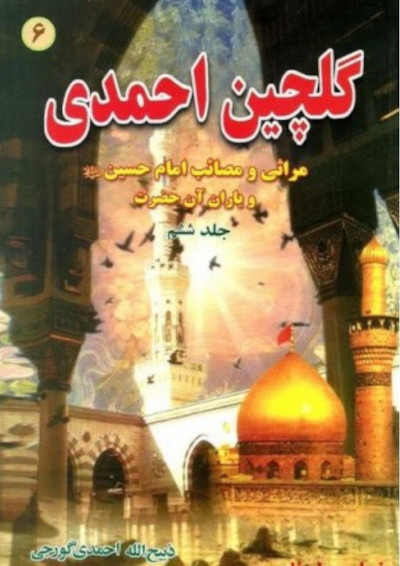 گلچین احمدی 6