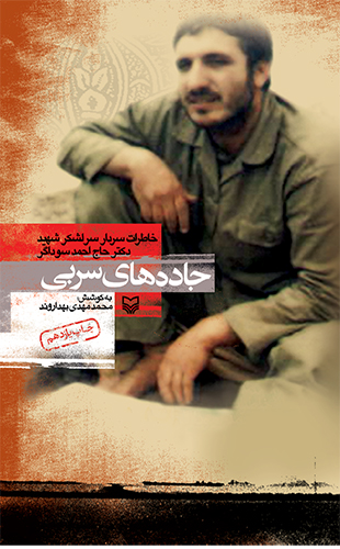 جاده های سربی