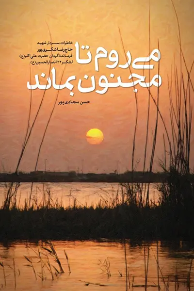 می روم تا مجنون بماند