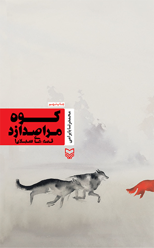 کوه مرا صدا زد