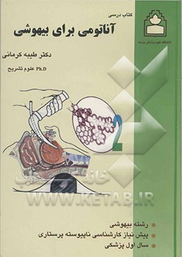 آناتومی برای بیهوشی