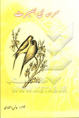 سرمه‌ی بصیرت