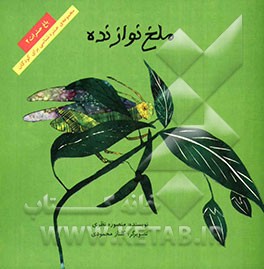 ملخ نوازنده