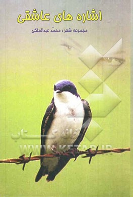 اشاره‌های عاشقی