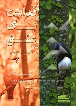 قداست یک عشق