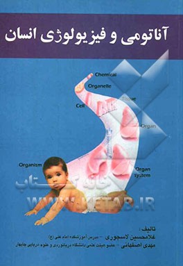 آناتومی و فیزیولوژی انسان