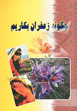 چگونه زعفران بکاریم؟