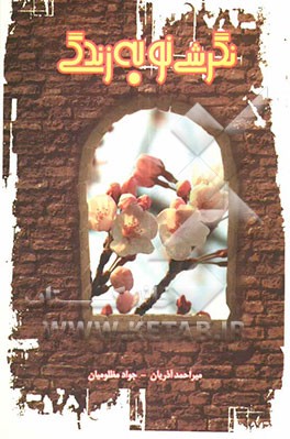 نگرشی نو به زندگی