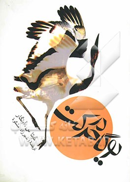 یوگا در حرکت: دوره مقدماتی آسانا و پرانایاما بر اساس برنامه تدریس در موسسه یوگا: یادبود رامامانی آینگار