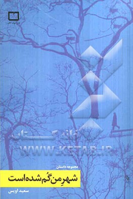 شهر من گم شده است (داستان‌هایی از غربت)