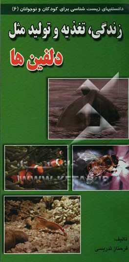 زندگی، تغذیه و تولید مثل دلفینها