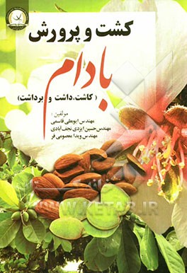 کشت و پرورش بادام: کاشت، داشت و برداشت