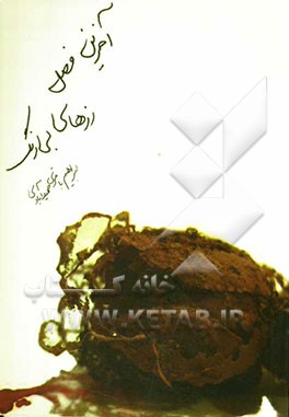 آخرین فصل رزهای بی‌رنگ و 19 داستان دیگر