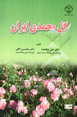 گل محمدی ایران