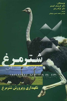 شترمرغ: نگهداری و پرورش شترمرغ