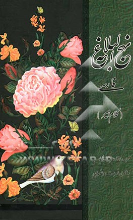 نهج البلاغه: کلام امیر (ع)