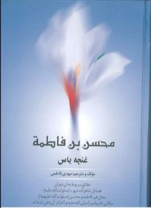 محسن بن فاطمه (ص)