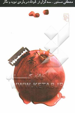 سه گزارش کوتاه درباره‌ی نوید و نگار