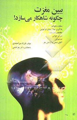 ببین مغزت چگونه شاهکار می‌سازد!