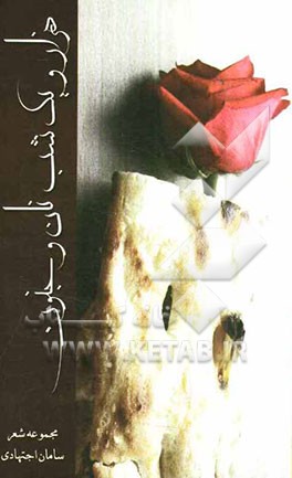 هزار و یک شب: نان و جنون، مجموعه شعر