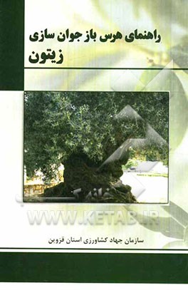 راهنمای هرس بازجوان‌سازی زیتون