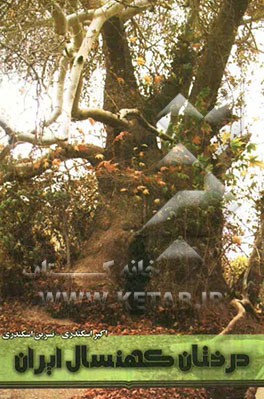 درختان کهنسال ایران