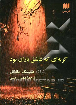 گربه‌ای که عاشق باران بود