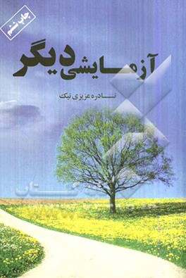 بازنویسی داستان آزمایشی دیگر