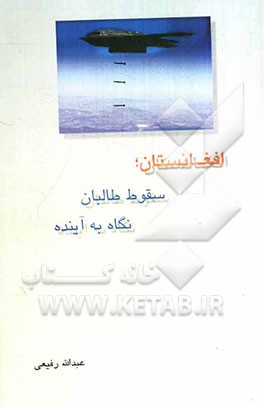 افغانستان، سقوط طالبان، نگاه به آینده