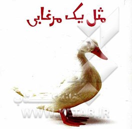 مثل یک مرغابی