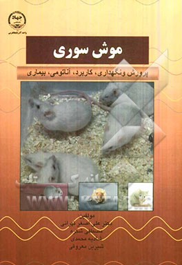 موش سوری: پرورش و نگهداری، کاربرد، آناتومی، بیماری