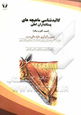 کالبدشناسی ماهیچه‌های پستانداران اهلی (اسب، گاو و سگ)