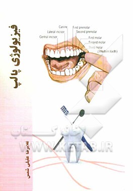 فیزیولوژی پالپ