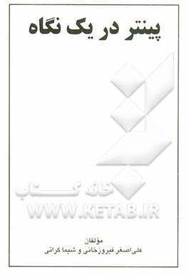 پینتر در یک نگاه