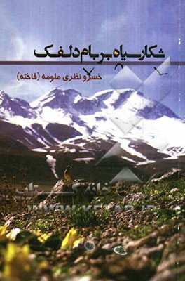 شکار سیاه بر بام دلفک